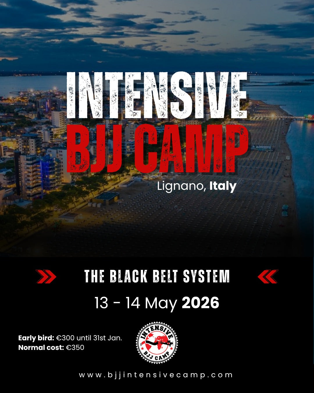 IBJJA Black Belt System